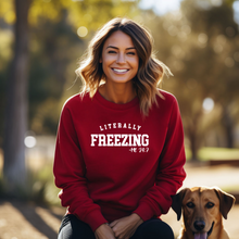 Load image into Gallery viewer, "Literally Freezing" Crewneck Sweatshirt