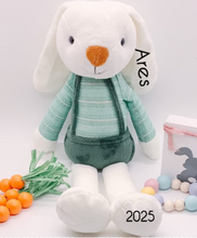 Load image into Gallery viewer, "Plush Easter Bunnies"