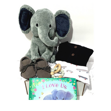 Load image into Gallery viewer, Elephant Theme Baby Gift Box
