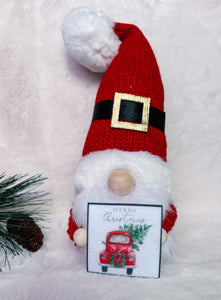 Santa Gnomes