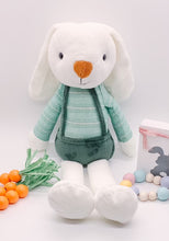 Load image into Gallery viewer, &quot;Plush Easter Bunnies&quot;
